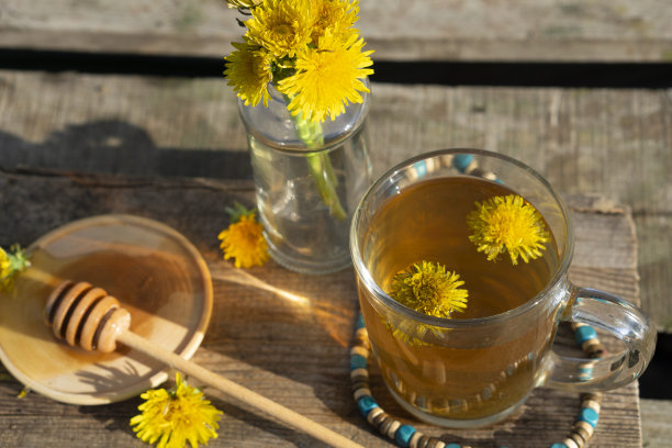 药茶从蒲公英在玻璃杯与蜂蜜蒲公英与副本空间图片下载