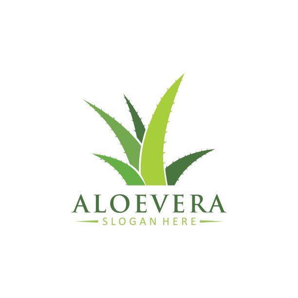 芦荟标识设计模板，矢量图标插图图片下载