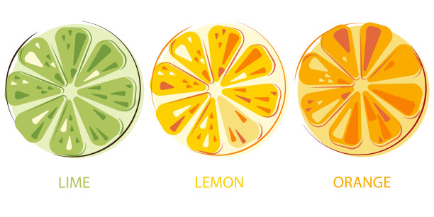 绿色多汁的酸橙，柠檬，阳光多汁的橙子一套切水果。色彩鲜艳的柑橘类水果。图片下载