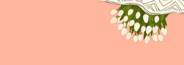 矢量春天插图的白色轮廓郁金香模板横幅，墙纸，传单，邀请，海报，小册子，优惠券折扣。粉红色或桃红色的背景。平躺，顶部视图与格子。图片下载