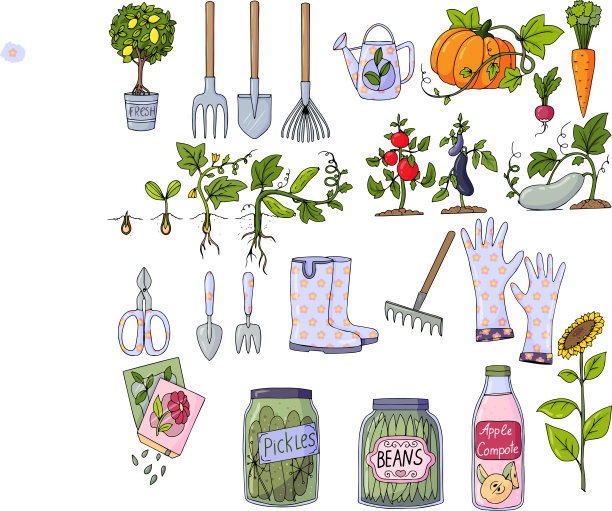 大型园艺工具，橡胶靴，手套，喷壶，各种蔬菜。插图孤立在白色背景上图片下载
