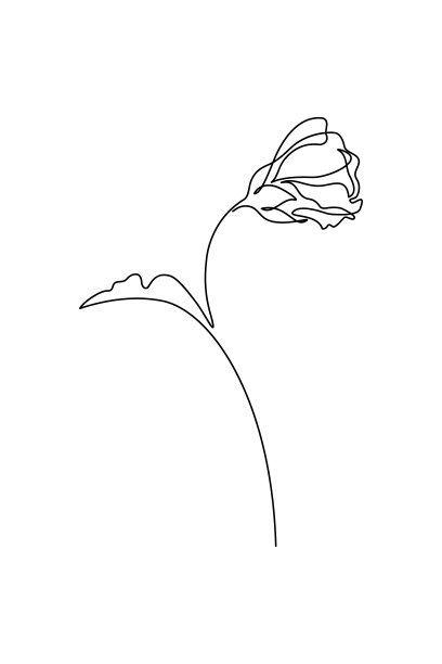 芙蓉芽图片下载