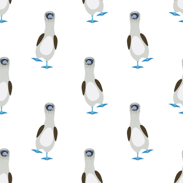 无缝塘鹅鸟与蓝色的脚图片下载