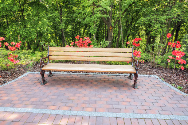 公园里一个舒适的角落——一个舒适的长椅，落叶林和开花的杜鹃花丛。图片下载