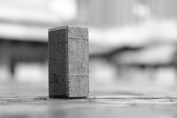 我在BW的邻居图片下载