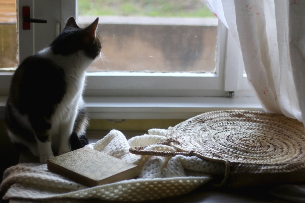 舒适的家图片下载