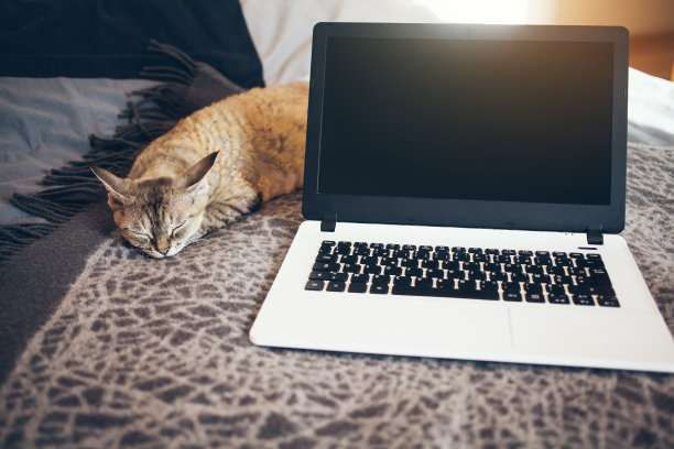 特写拍摄的笔记本电脑与空白拷贝空间屏幕为您的文本信息或内容。图片下载