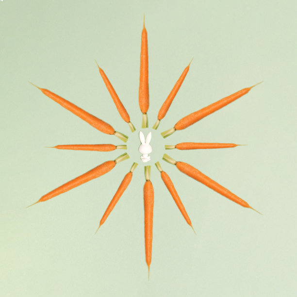 玩具兔子周围的有机胡萝卜。天然食品，维生素，有益健康，保护身体。平的。图片下载