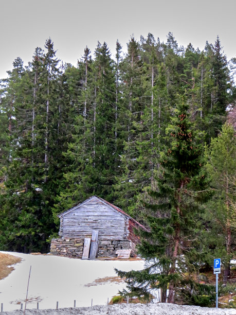 森林中的传统木屋图片下载