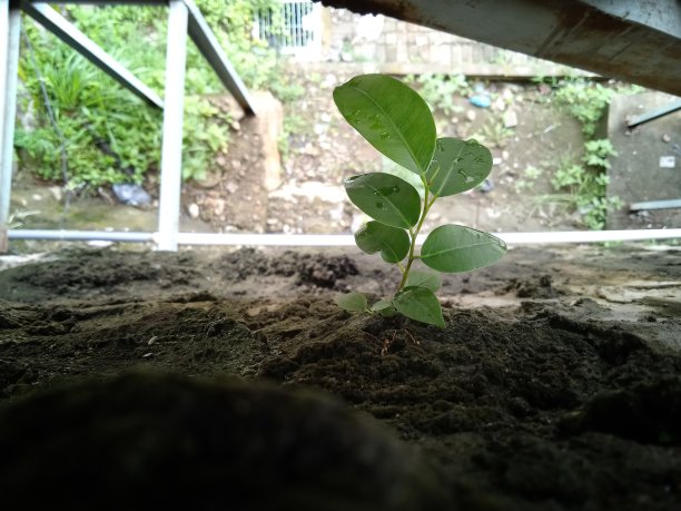 小小姐图片下载