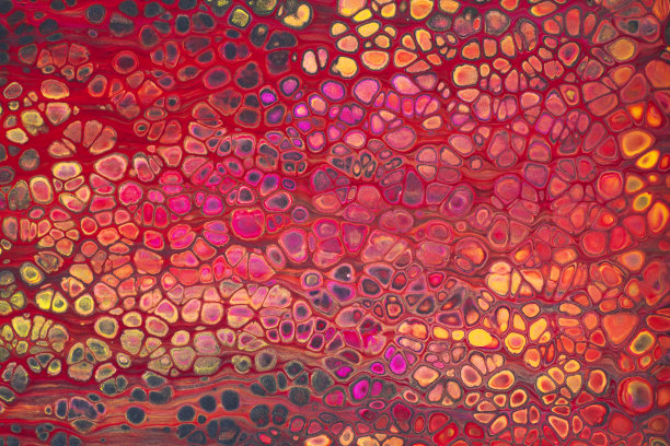 丙烯酸红色和黄色细胞图片下载