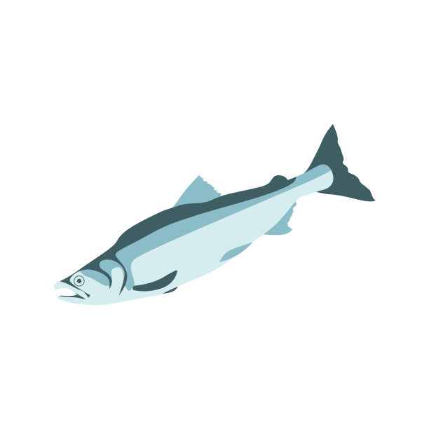 鲭鱼、鲑鱼、鳕鱼或鳟鱼、海鱼图片下载