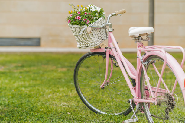 外面停着一辆老式自行车图片下载