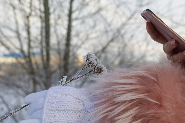 女孩在冬天的公园散步。照片上的植物覆盖着霜雪。图片下载
