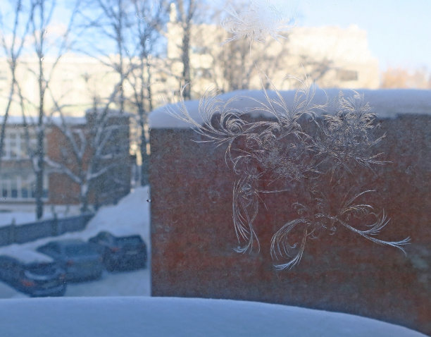 窗户上美丽的霜花图案，映衬着晨曦中的城市图片下载