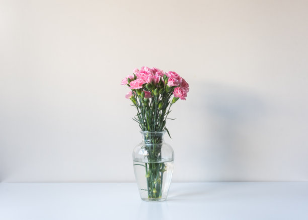 书架上的玻璃花瓶里的粉红色康乃馨，午后的阳光图片下载