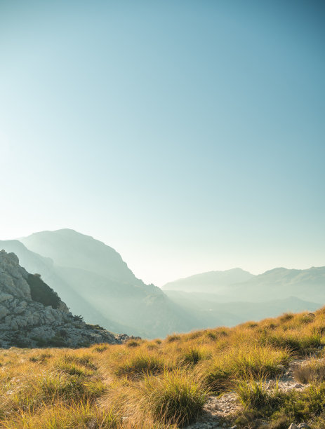 西班牙马略卡岛tramuntana山脉和树木的日落景观图片下载