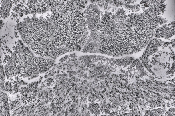 鸟瞰图的雪山松林和道路，徒步路线。图片下载