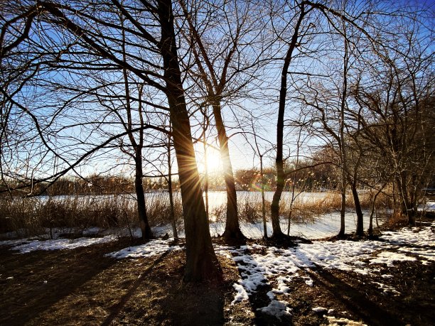 雪天公园里的日落图片下载