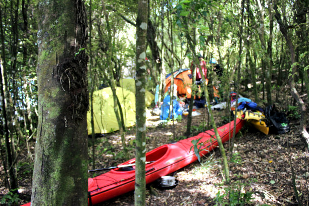 树间露营图片下载