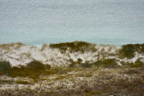 植被恢复的沙丘图片下载
