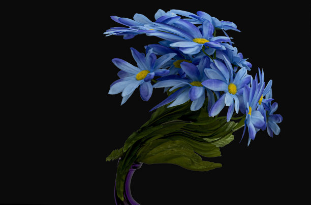 风中花图片下载