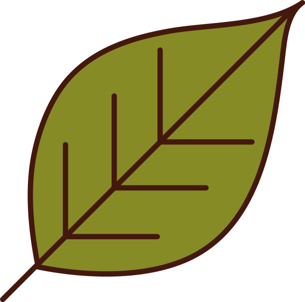 叶片叶片自然植物线和填充图标图片下载
