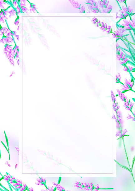 薰衣草手绘卡片插图图片下载