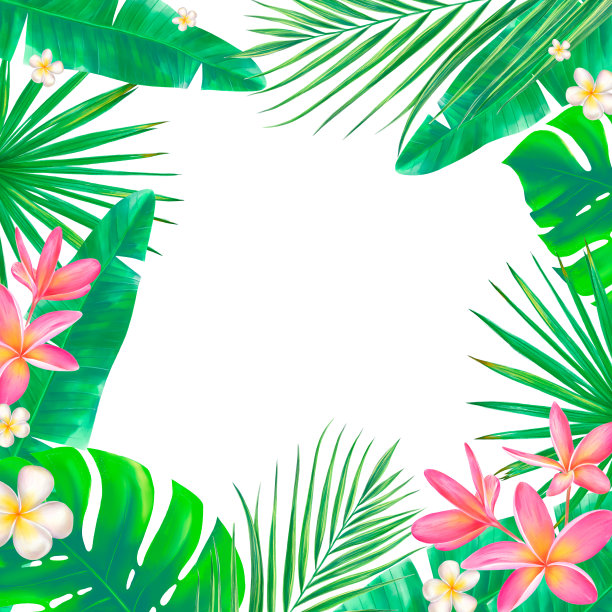 奇异的叶子和花的框架。图片下载