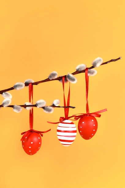 山羊柳枝上挂着红白相间的斑点条纹复活节彩蛋图片下载