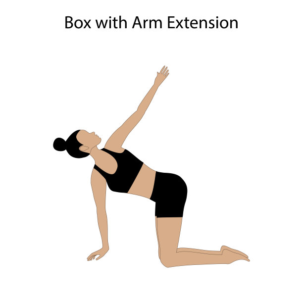 手臂伸展式瑜伽练习图片下载