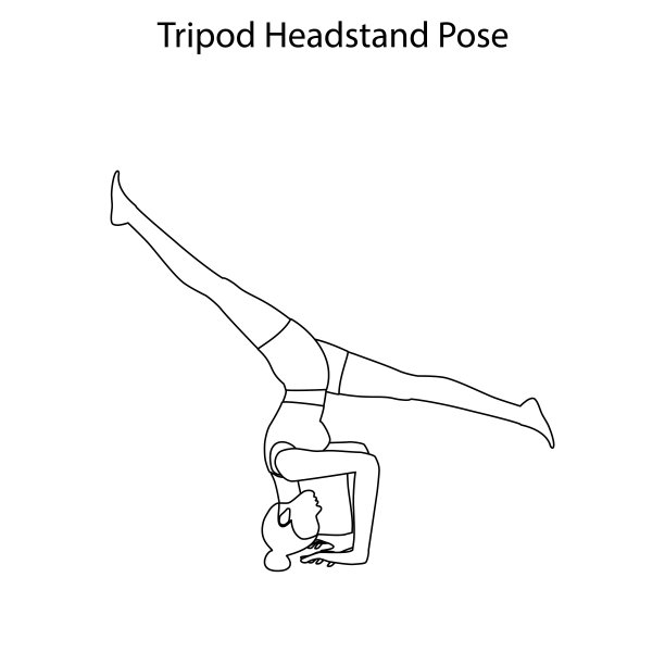 三脚架头倒立体式瑜伽锻炼大纲。健康生活方式矢量图图片下载