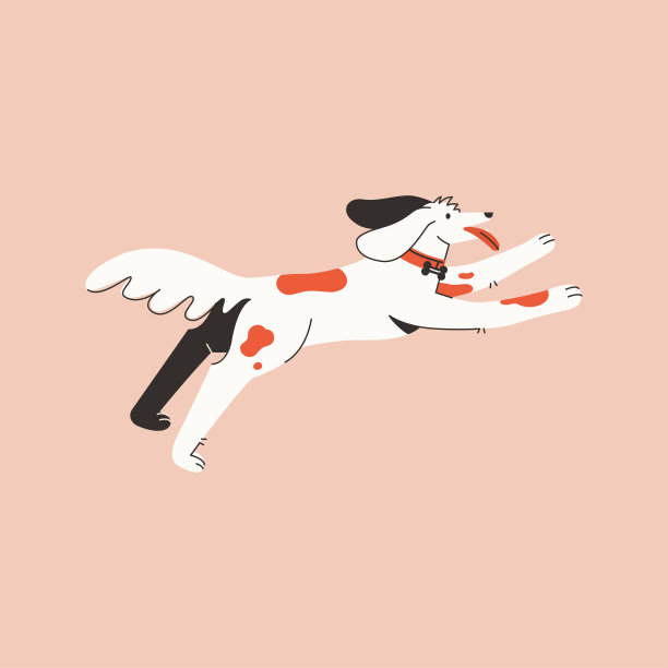 快乐的狗在户外玩耍。可爱的小狗又跑又跳图片下载