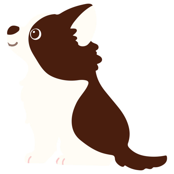 平色的深棕色吉娃娃坐在侧视图图片下载