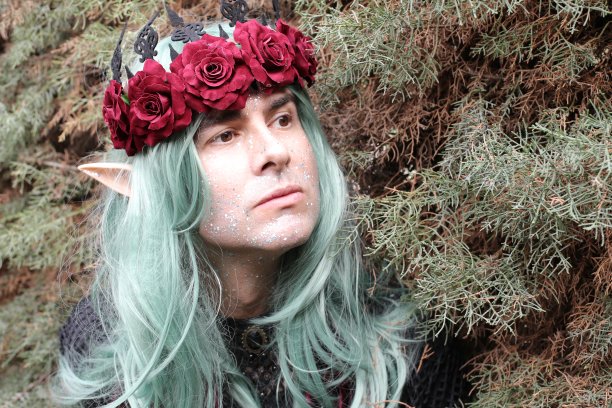 森林里神秘的雄性精灵图片下载