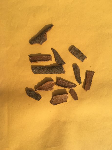 肉桂棒与黄色背景图片下载