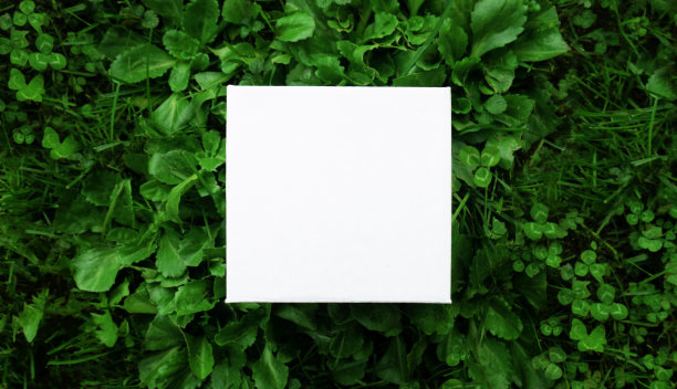 白色的卡片或白纸躺在草地上。图片下载