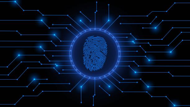 指纹标志以黑色背景信息连线为中心-生物识别授权扫描识别系统-网络或商业安全概念图片下载