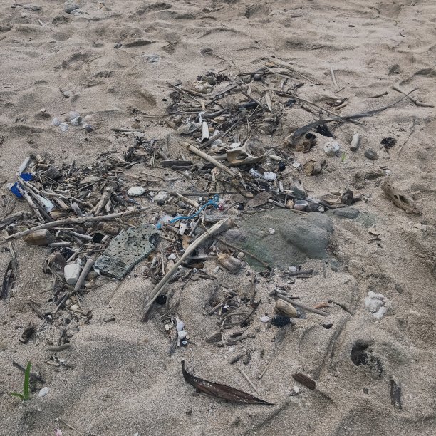 正国海滩的垃圾图片下载