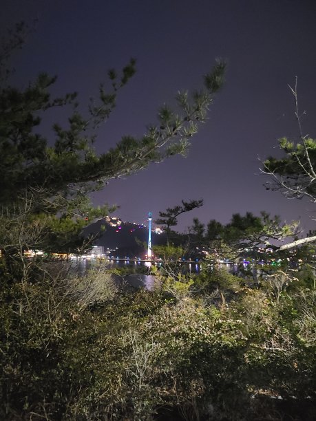 在木浦夜景图片下载