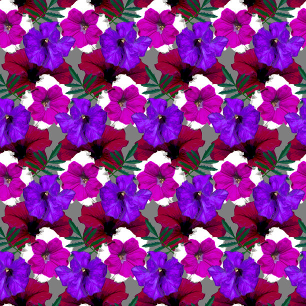 无缝图案，红色，紫色，紫色牵牛花和绿色的叶子在灰色的背景。五彩缤纷的花卉纹理。光栅插图。图片下载