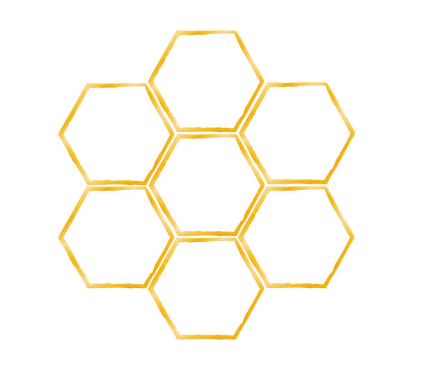 蜂窝插图图片下载