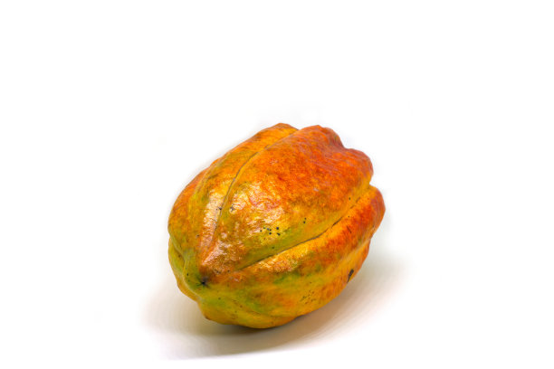 整个孤立的可可果在白色背景上。巧克力原料。生可可植物整个水果工作室照片。巧克力包剪纸艺术。东南亚农业丰收。成熟的可可图片下载