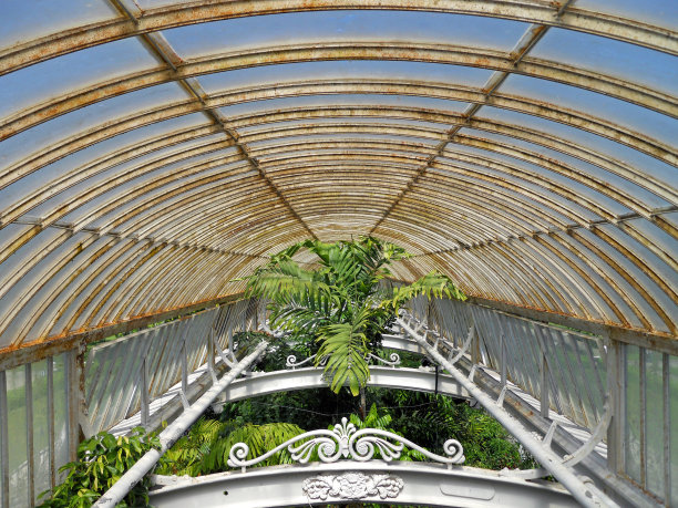植物园温室的玻璃拱形屋顶图片下载
