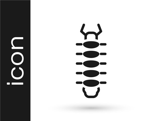 黑色蜈蚣虫图标孤立在白色上图片下载