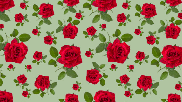 绿色的背景和红色的玫瑰花图片下载