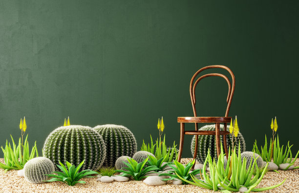 抽象的室内设计与大型仙人掌植物和旧木椅图片下载