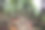 用树根做的椅子做的花园图片下载