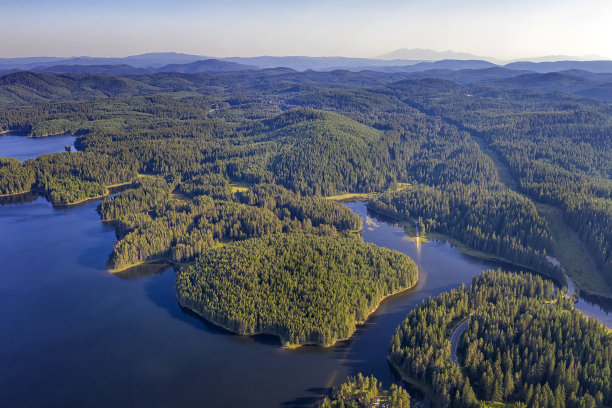 蓝色的水和绿色的森林。图片下载