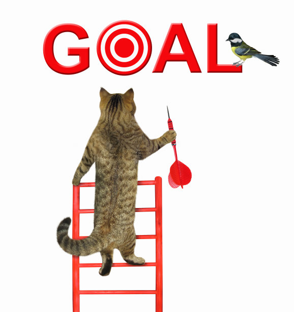 猫带着飞镖爬上了梯子图片下载